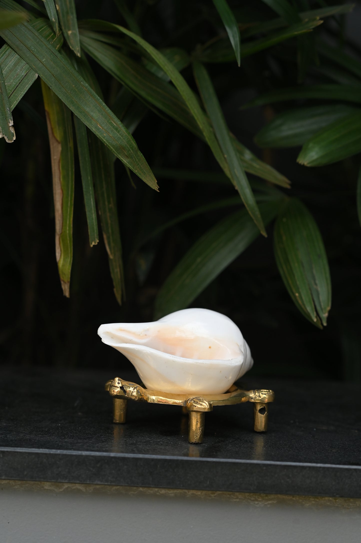 Shanka and Brass Shanka Stand