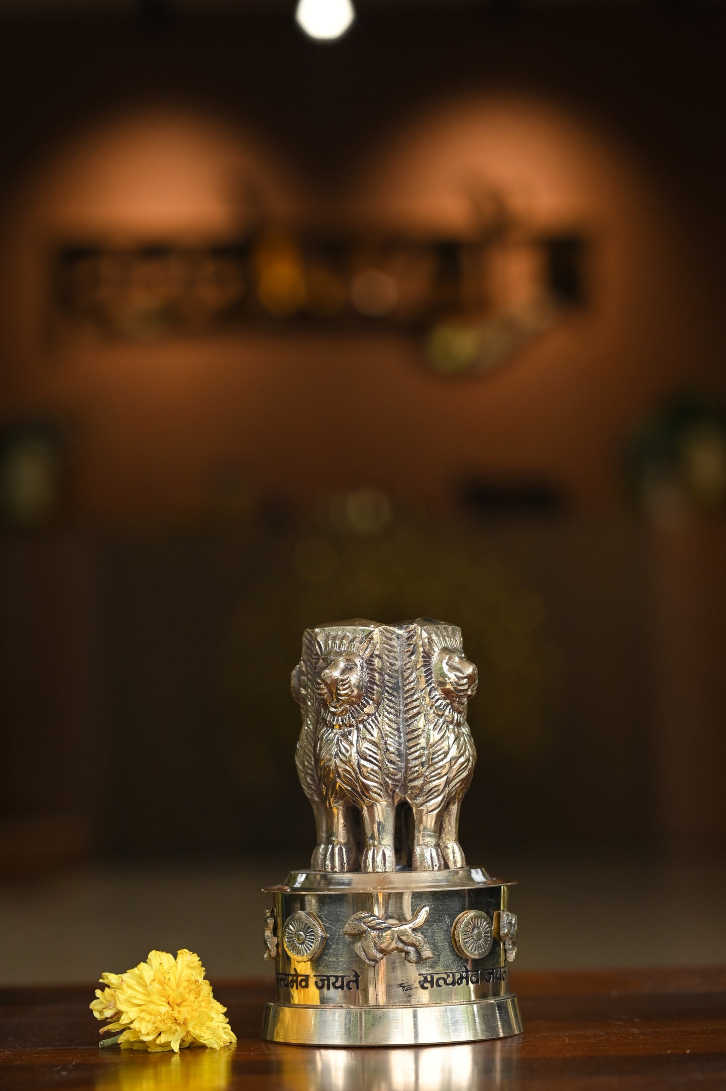 Ashoka Pillar