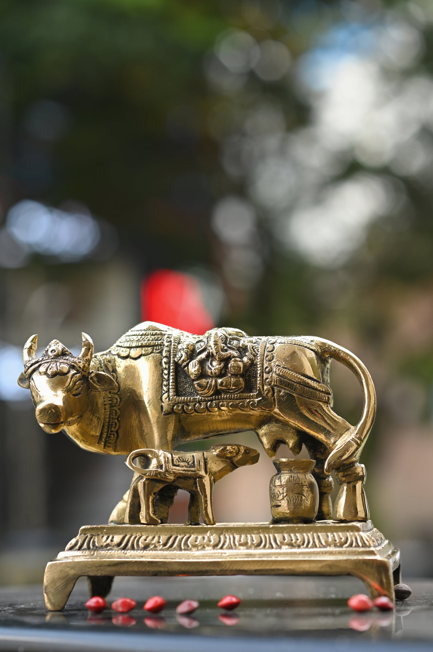 Kamadhenu Cow