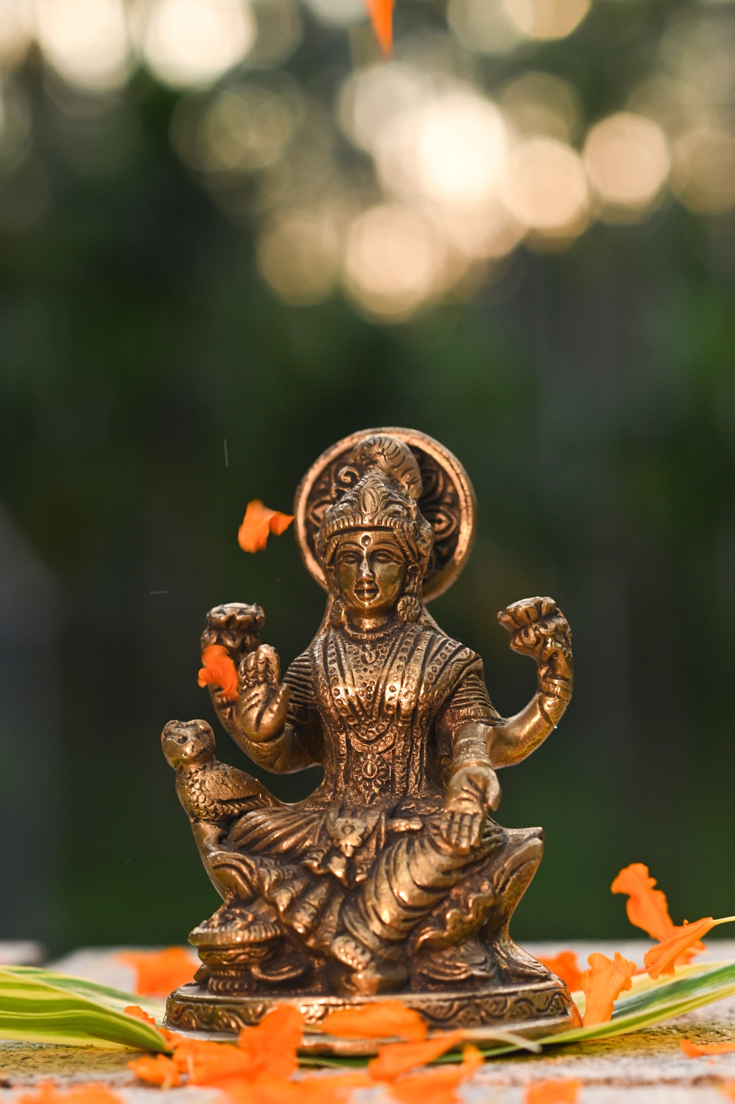 Goddess Lakshmi