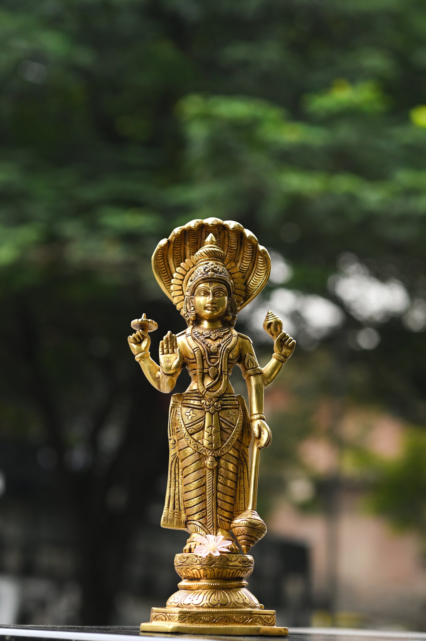 Lord Narayana