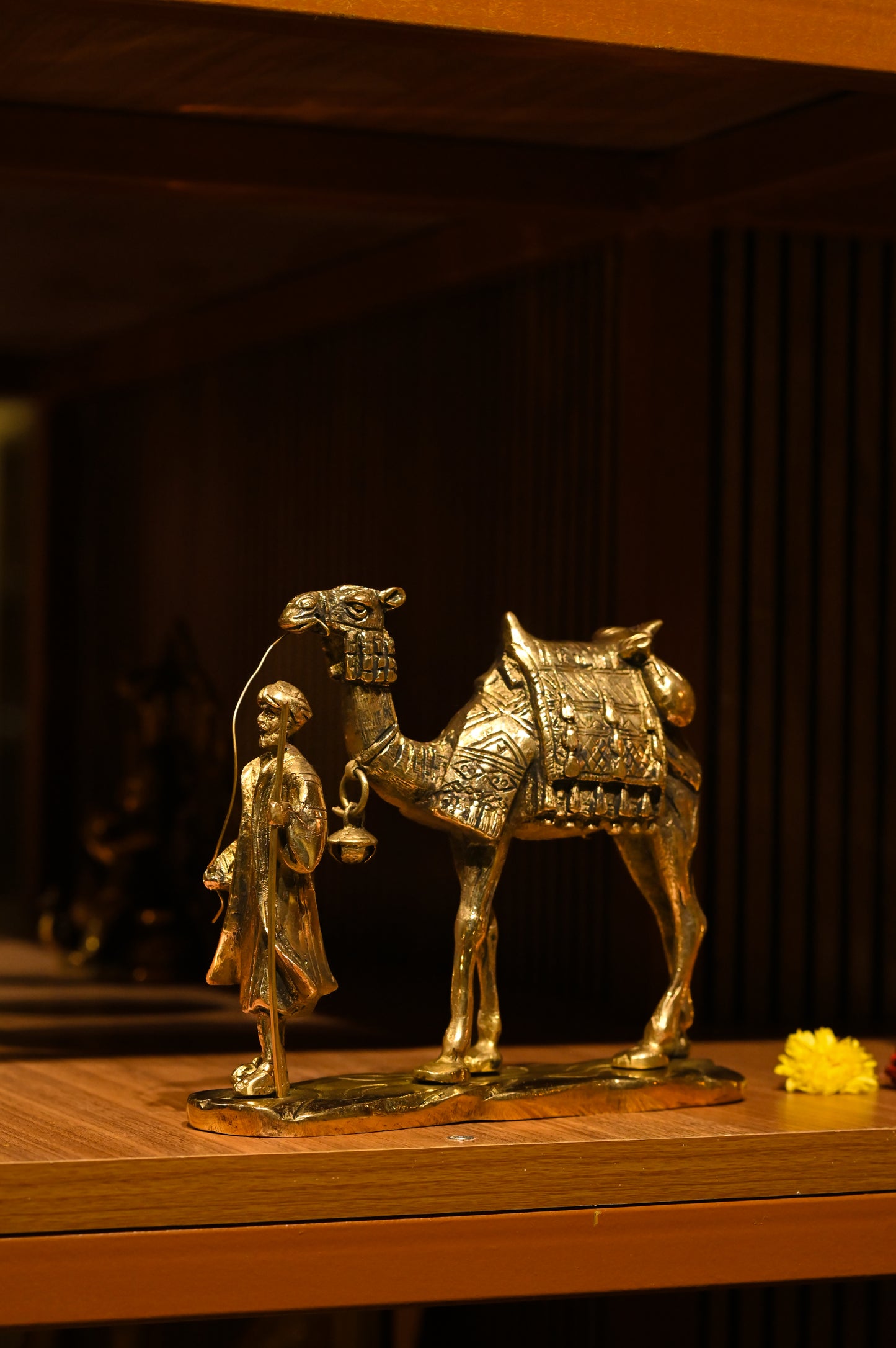 Rajasthani Camel Caravan