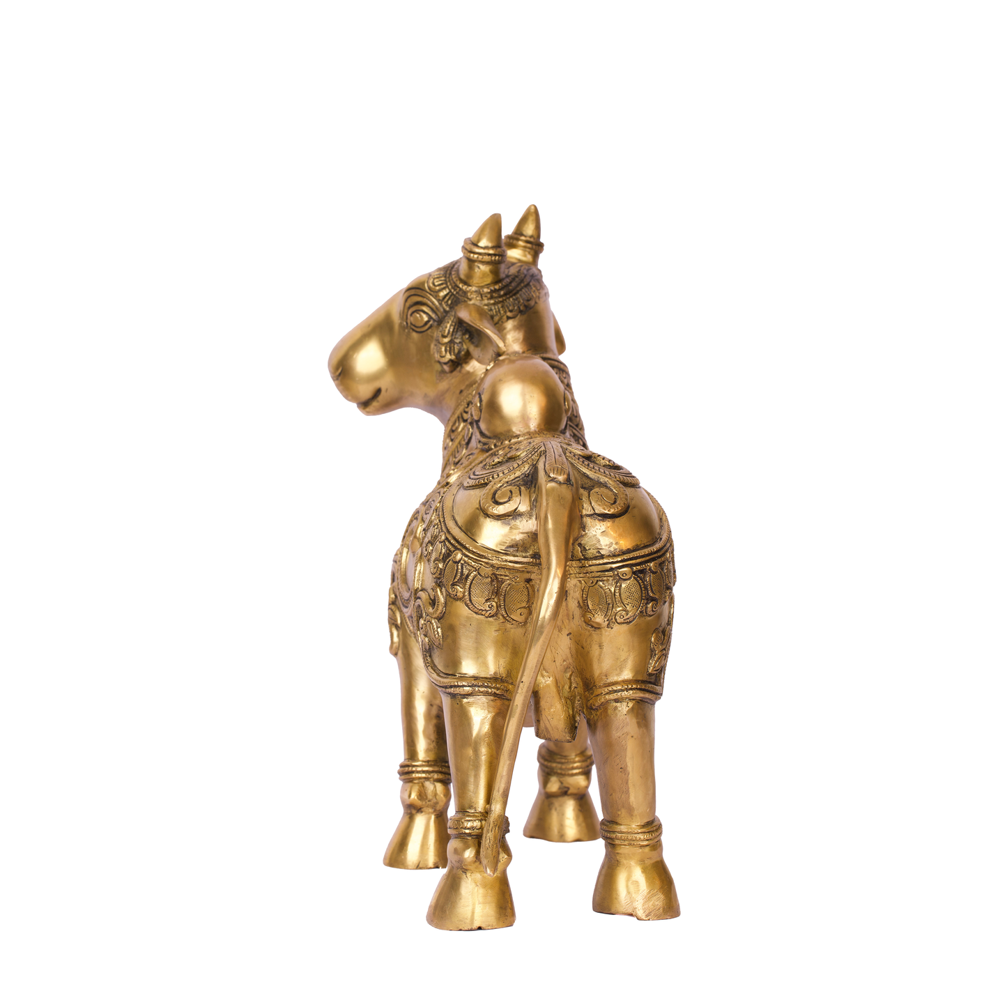 NANDI DEV 15"