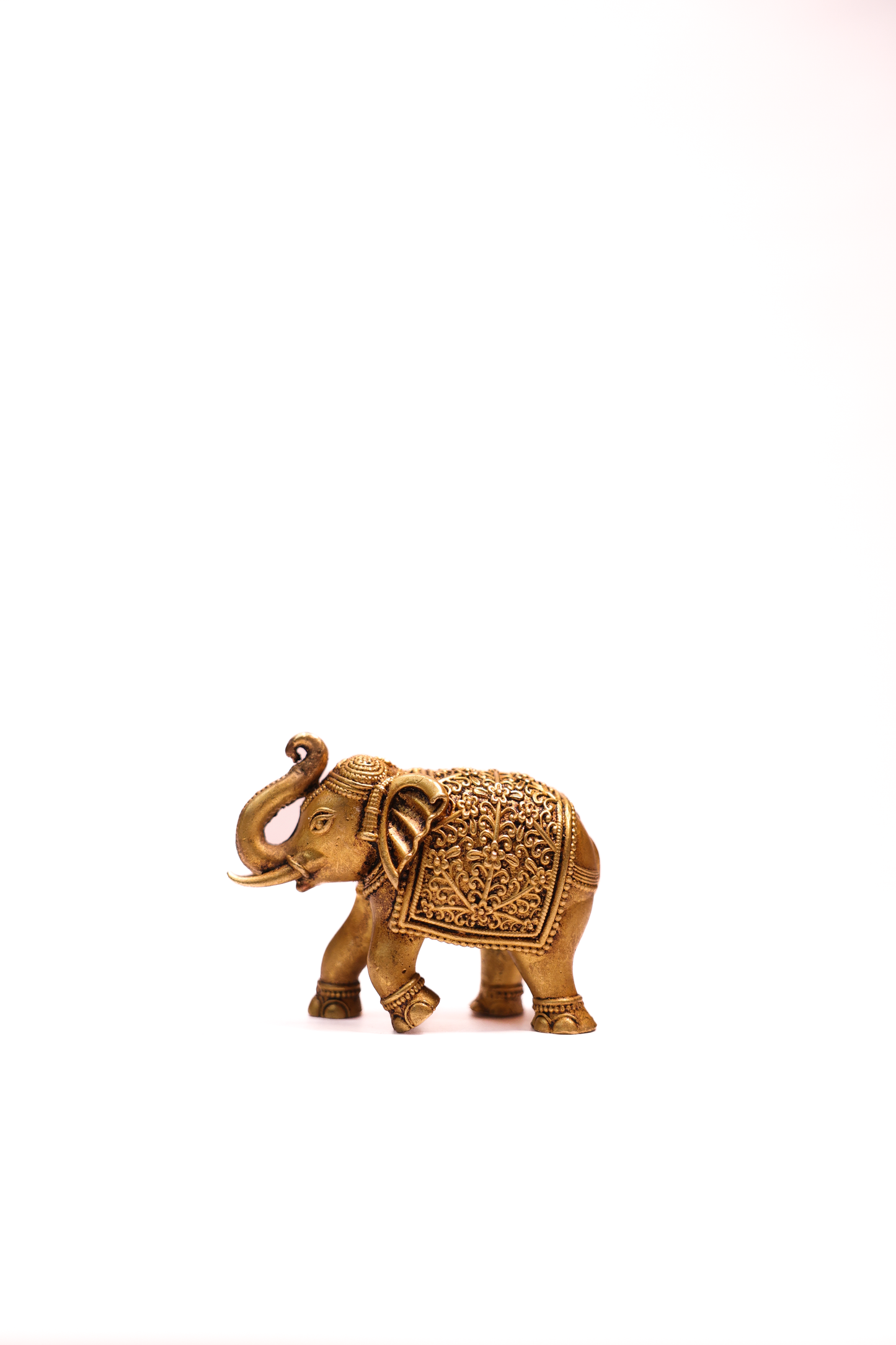 ELEPHANT 2.5"