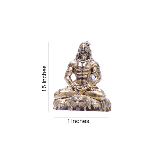 BHOLENAAT 1.5''