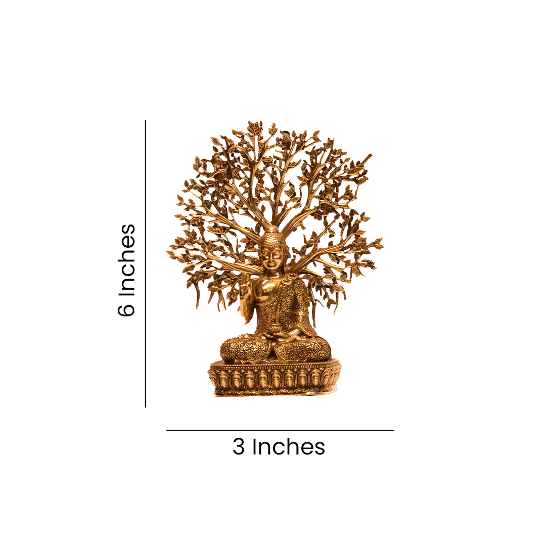 BUDHA TREE 6.5"
