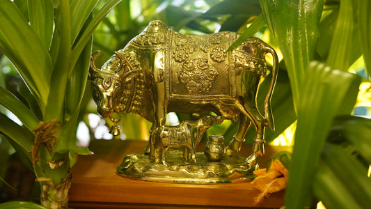 Nandi Brass Idol