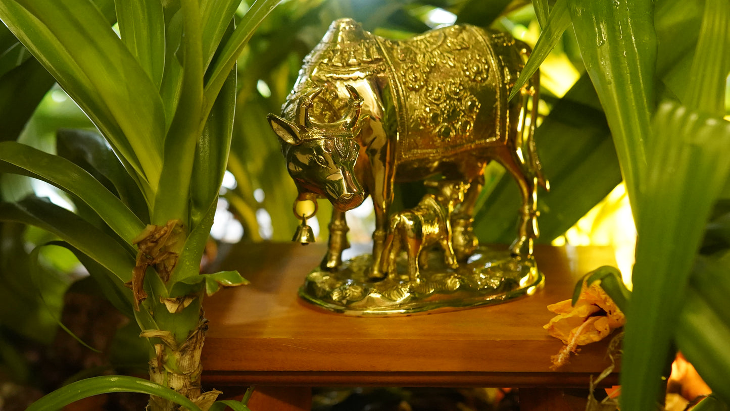 Lord Nandi with Calf Brass Idol