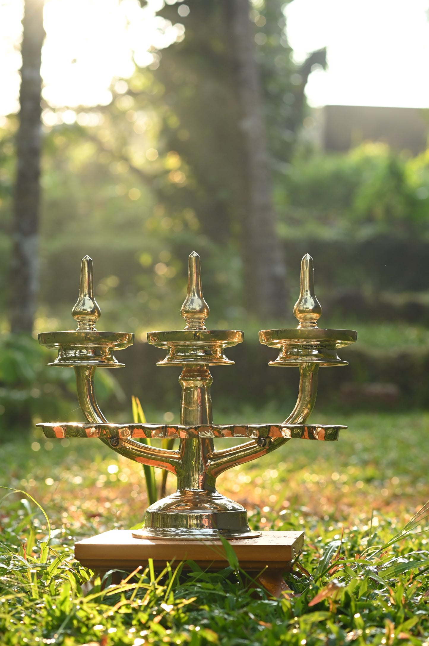 Kavaru Vilakku Brass Oil Lamp