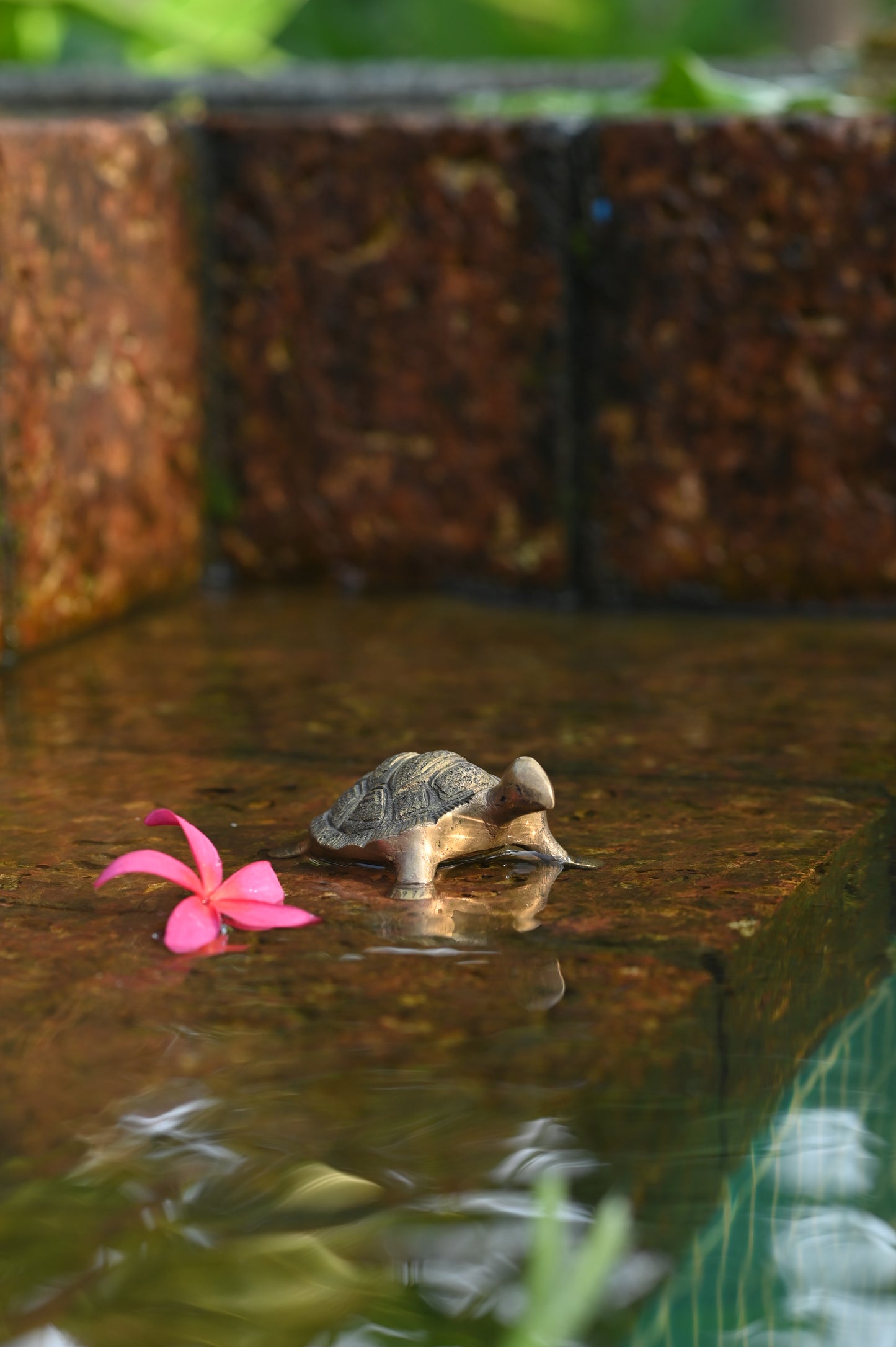 Premium Brass Tortoise idol small