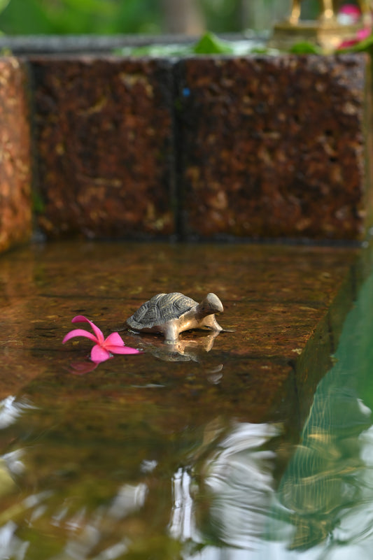 Tortoise Brass Idol - Small