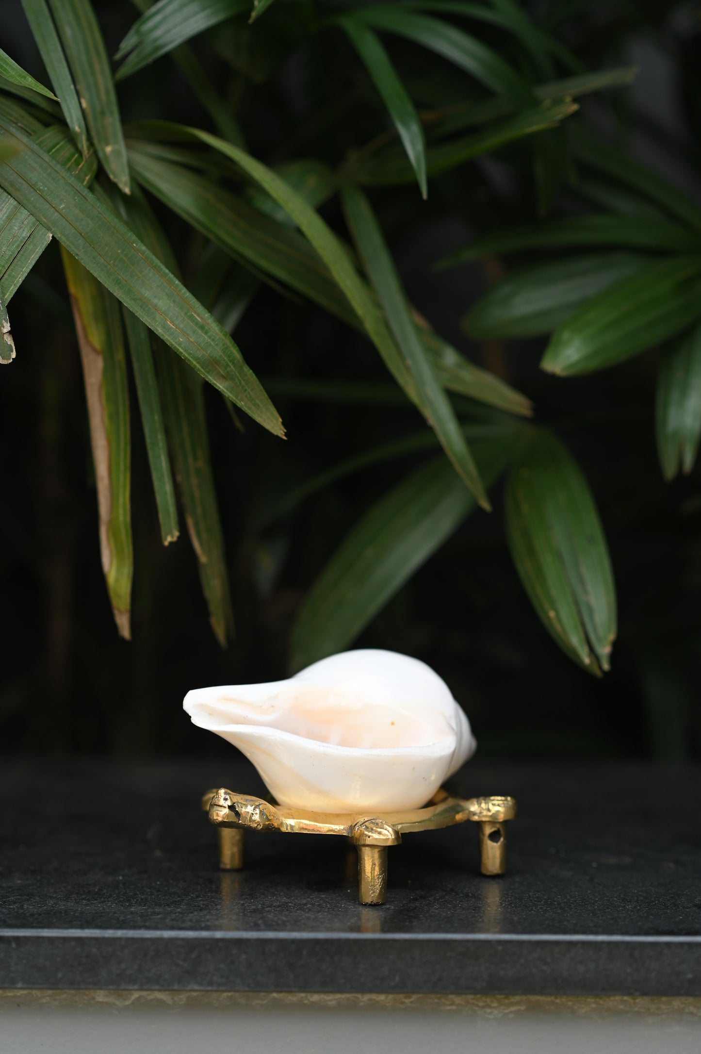 Shanka and Brass Shanka Stand