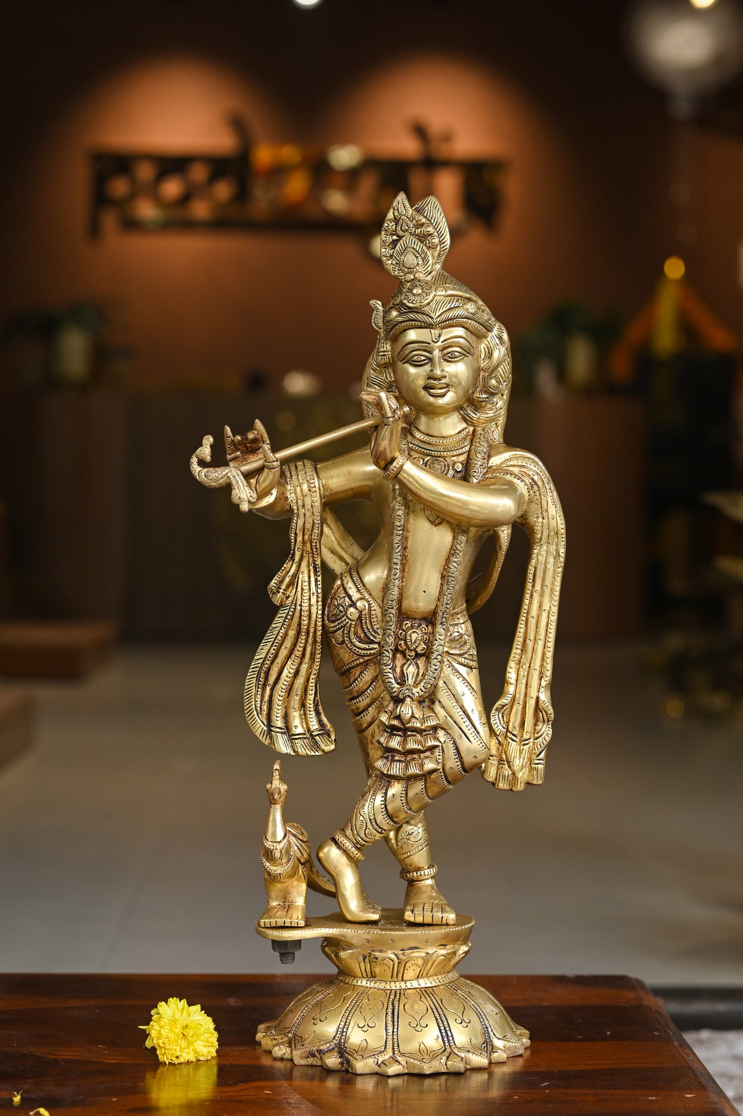Lord Krishna