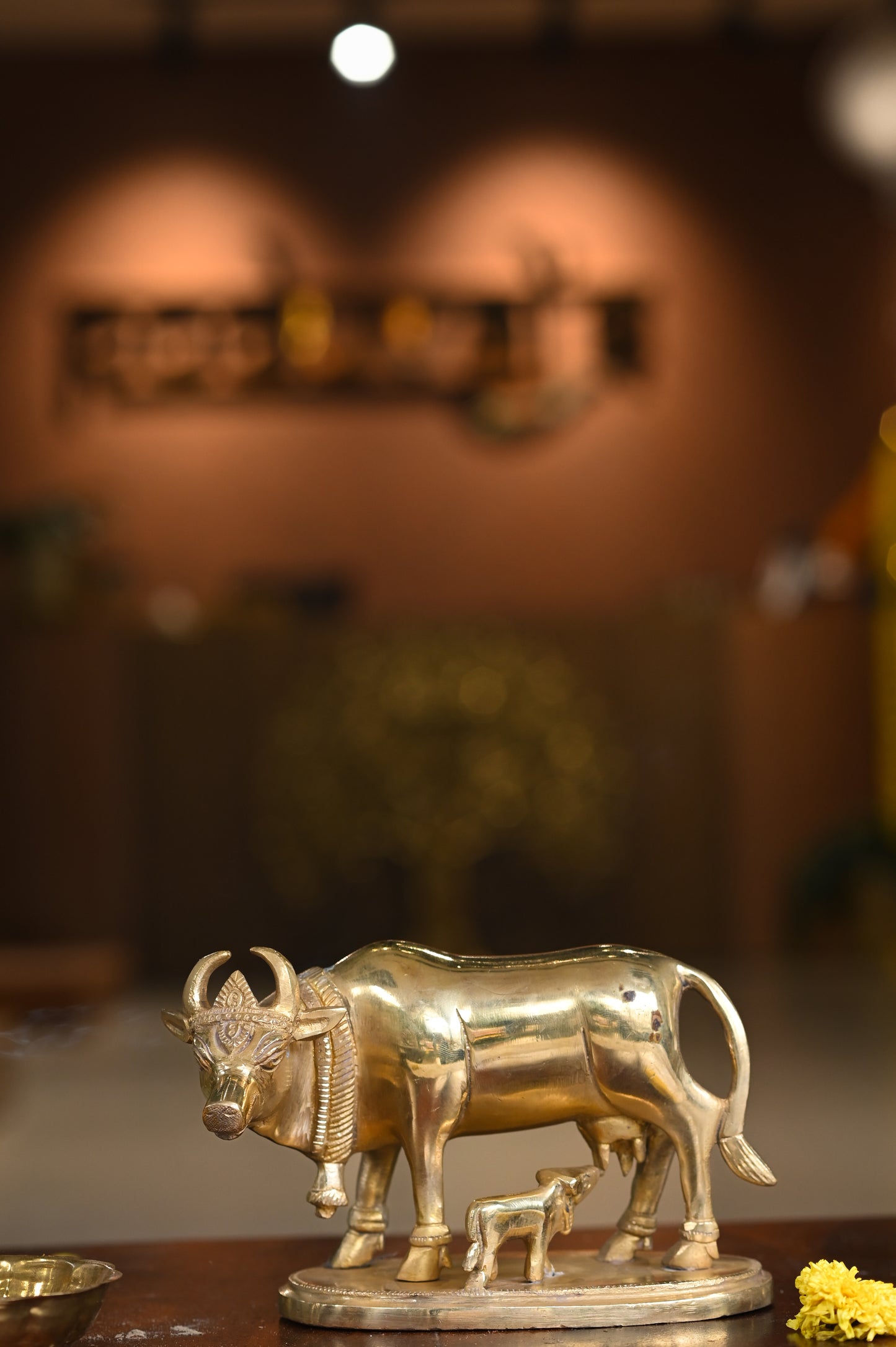 Kamadhenu Cow