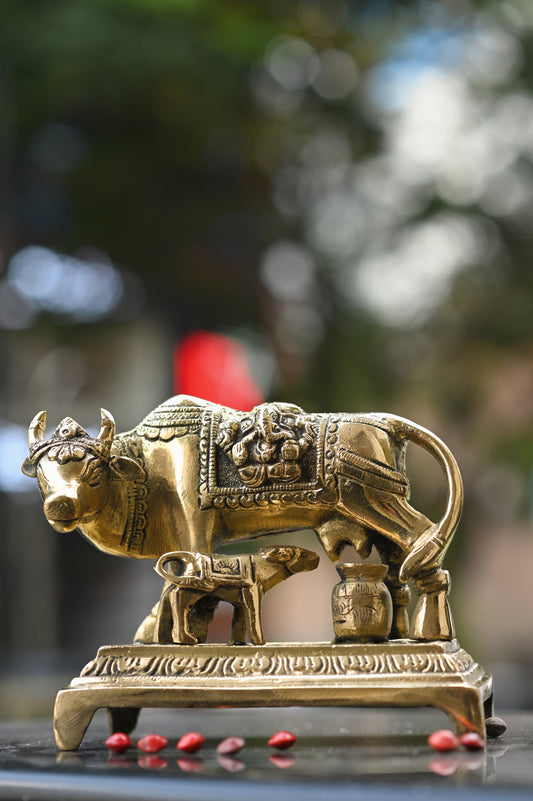 Kamadhenu Cow