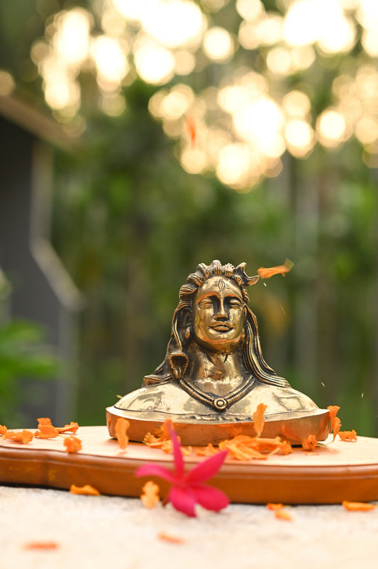 Adiyogi Shiva