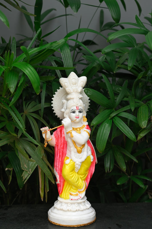Lord Krishna