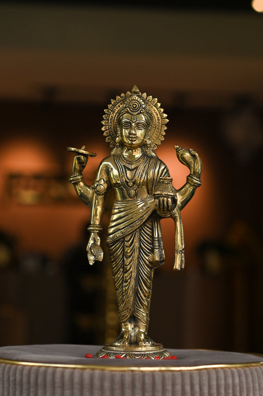 Lord Dhanvantiri