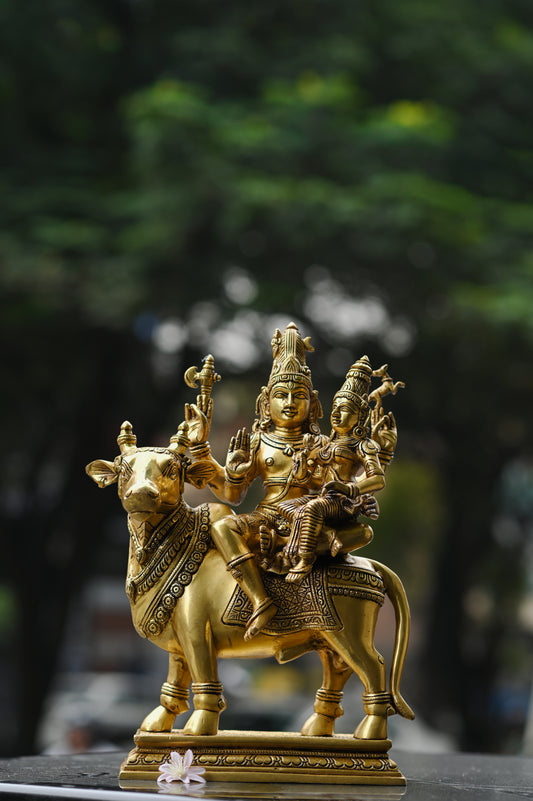Shiva–Parvati on Nandi
