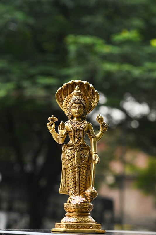 Lord Narayana