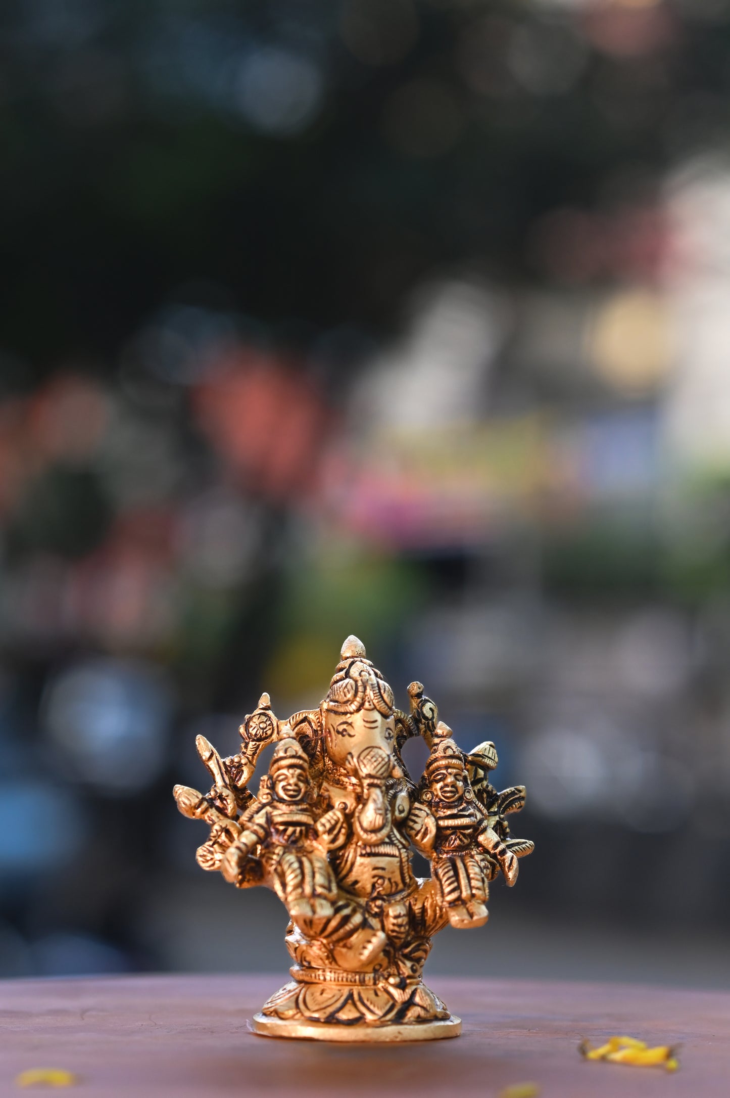 Riddhi Siddhi Ganapati