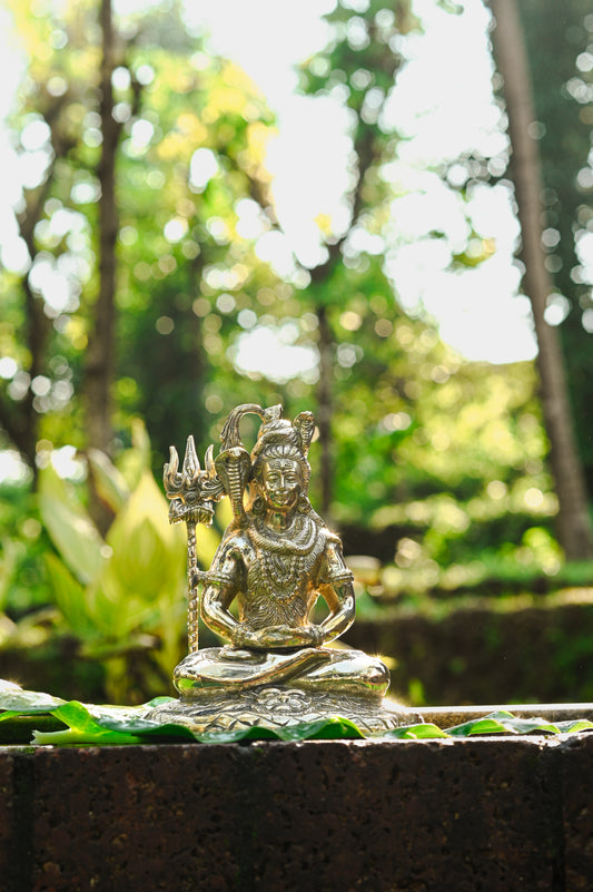 Lord Shiva