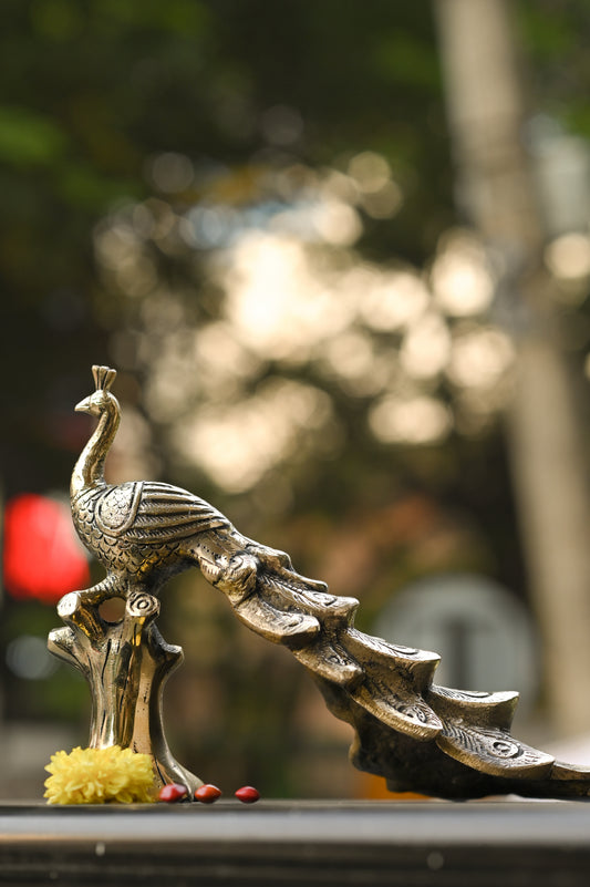 Peacock