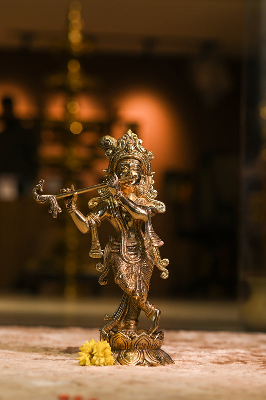 Lord Krishna