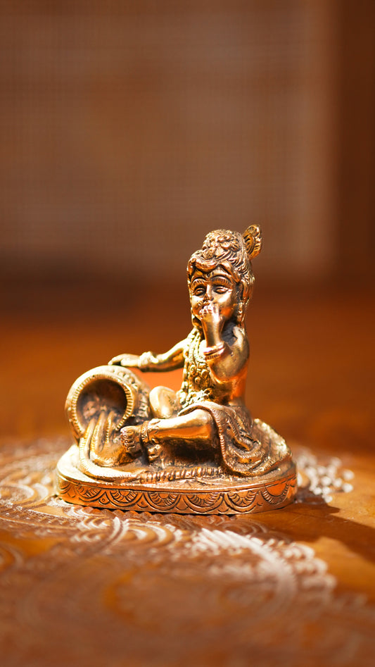 Baby Krishna