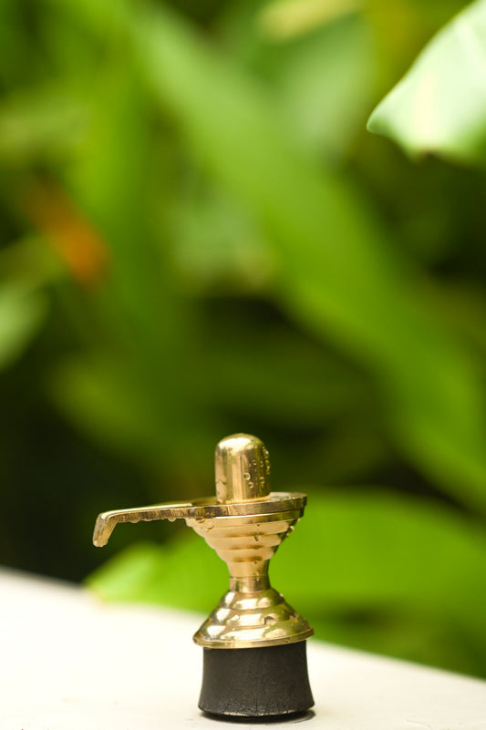 Shiva Lingam