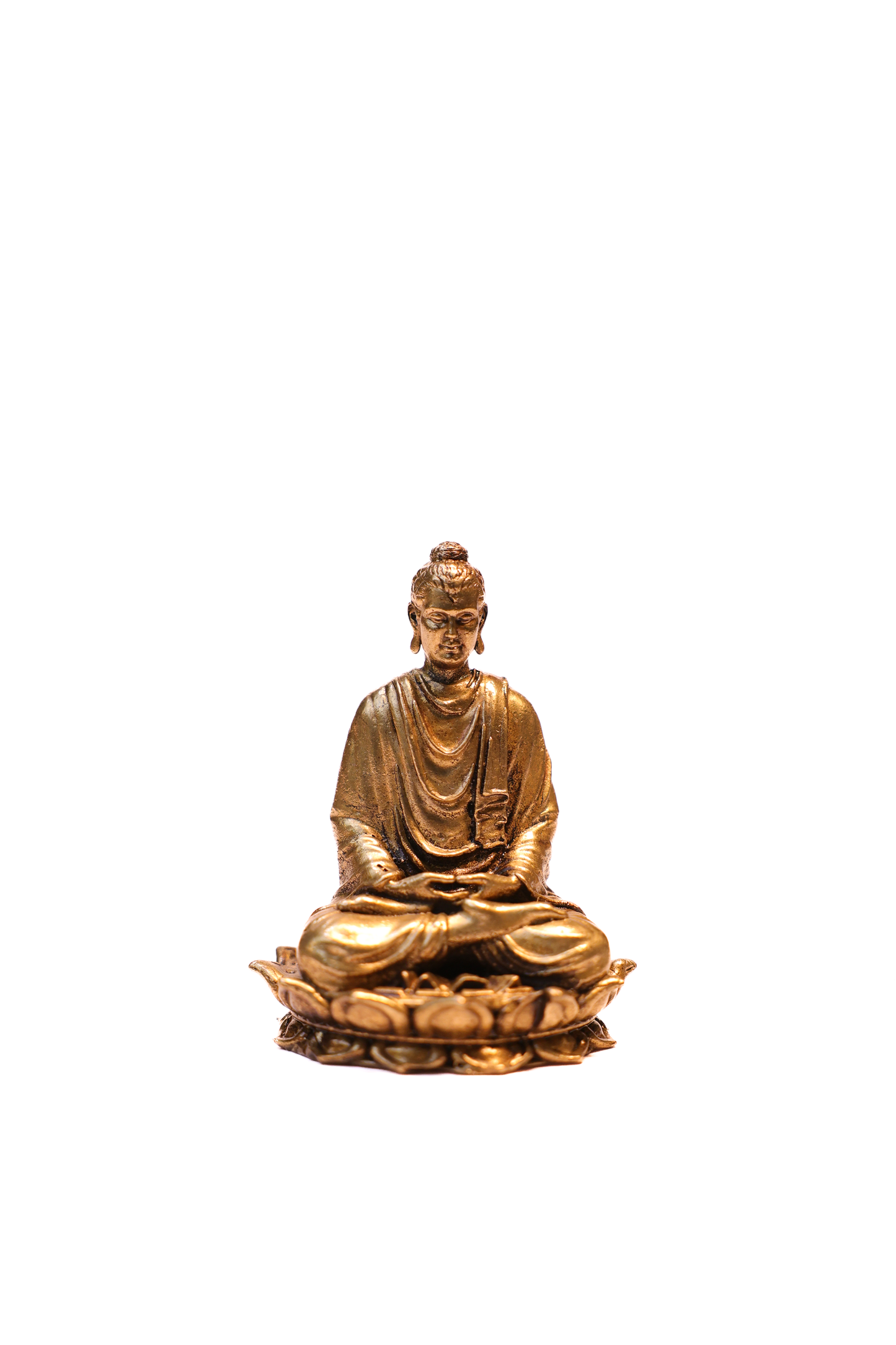 BUDHA 2.5"