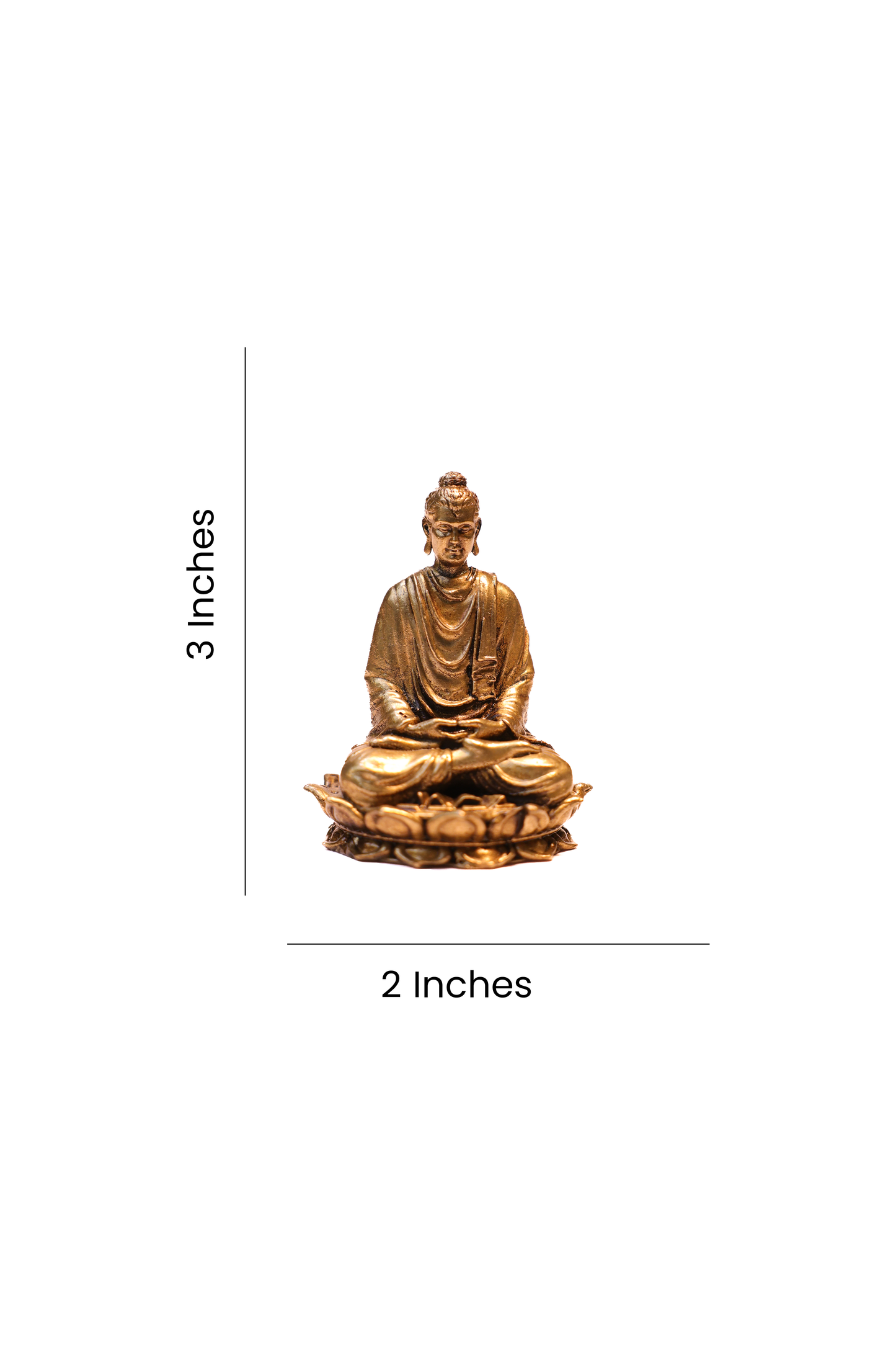 BUDHA 2.5"