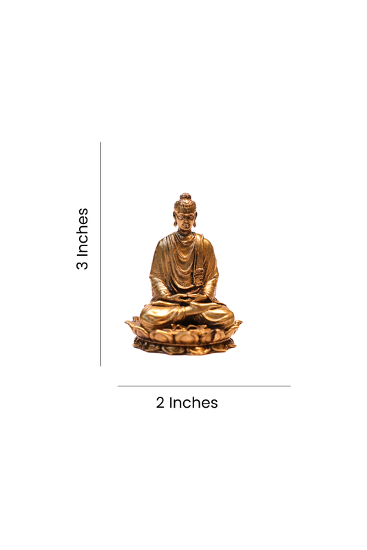 BUDHA 2.5"