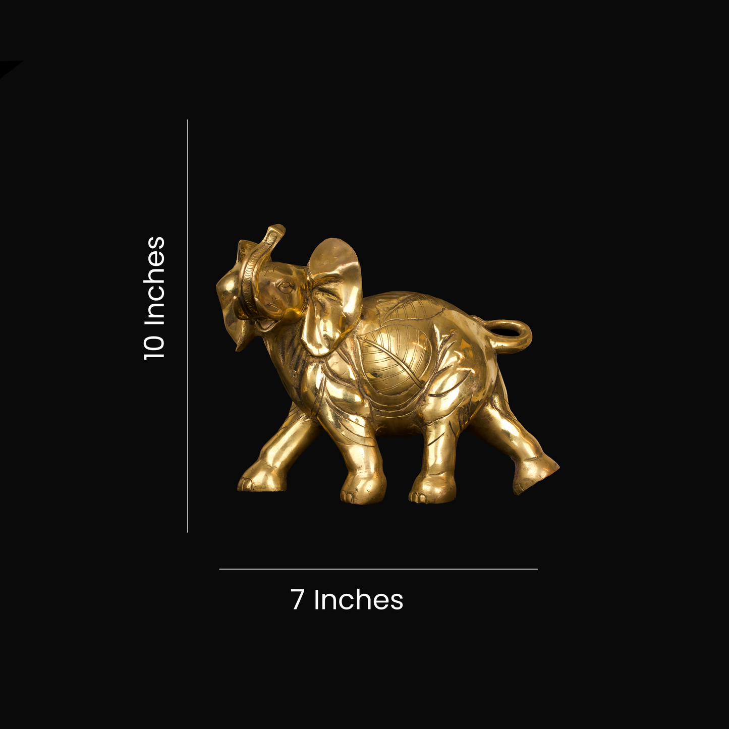 AFRICAN ELEPHANT 10''