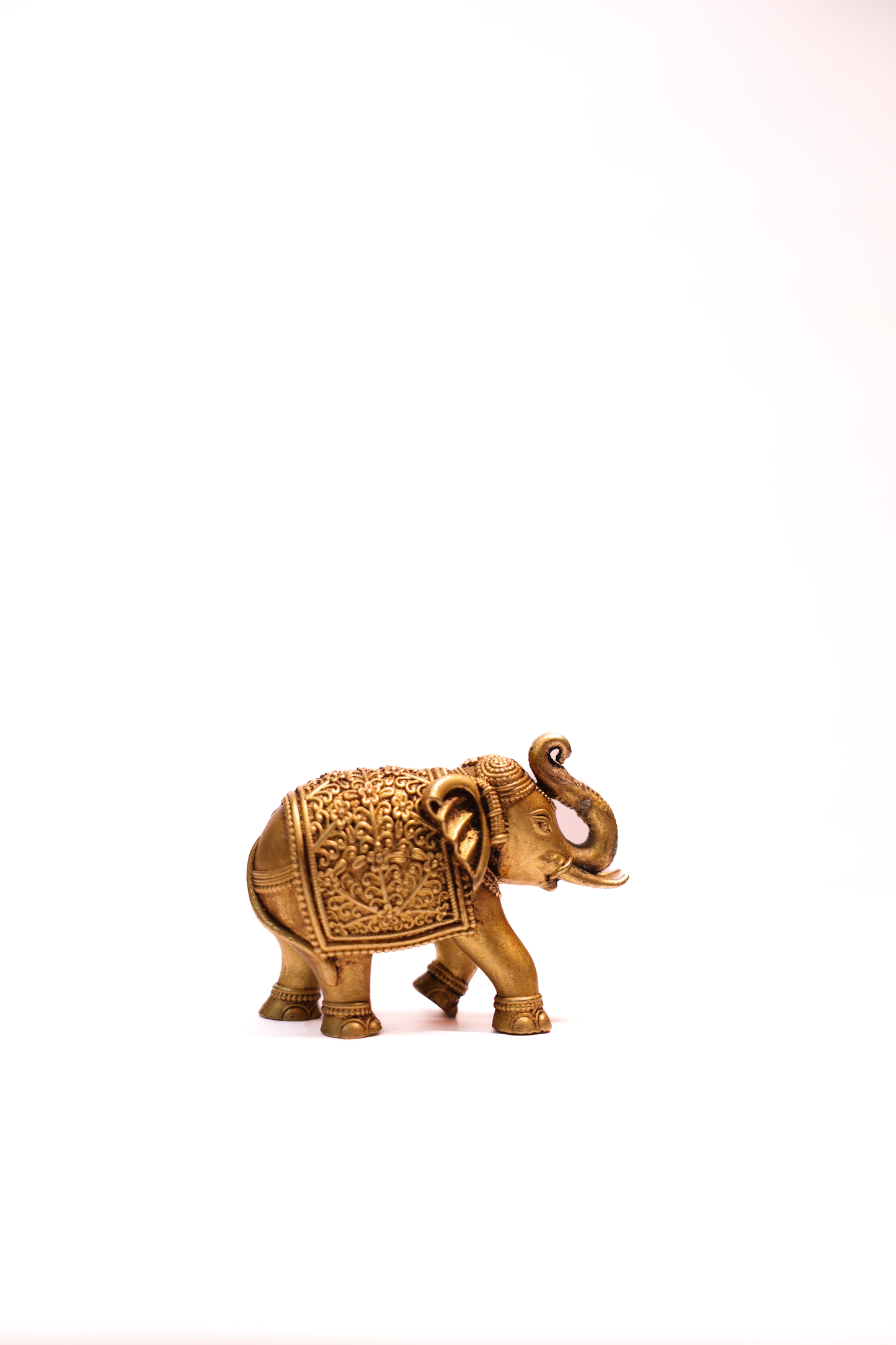 ELEPHANT 2.5"