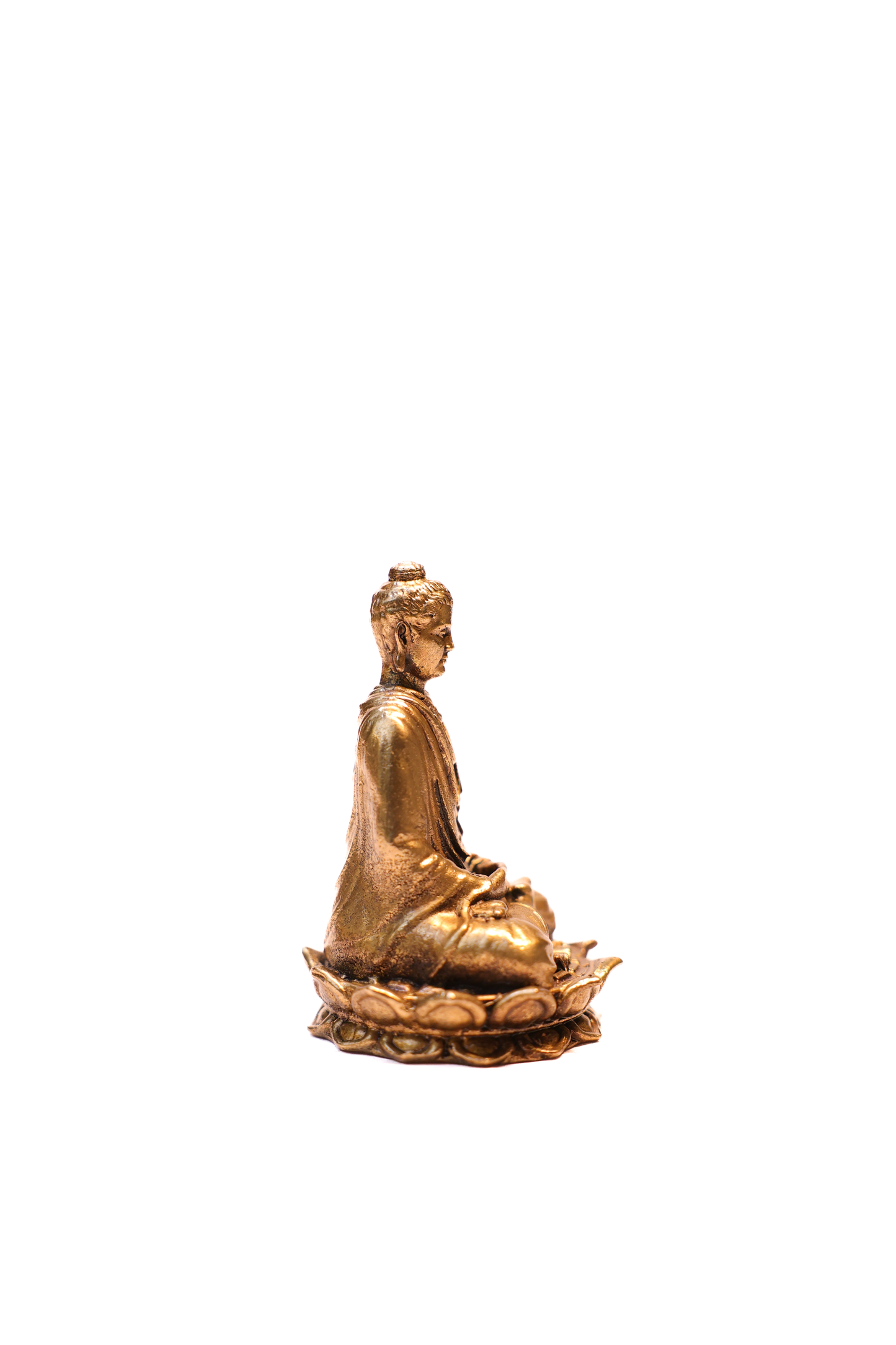 BUDHA 2.5"