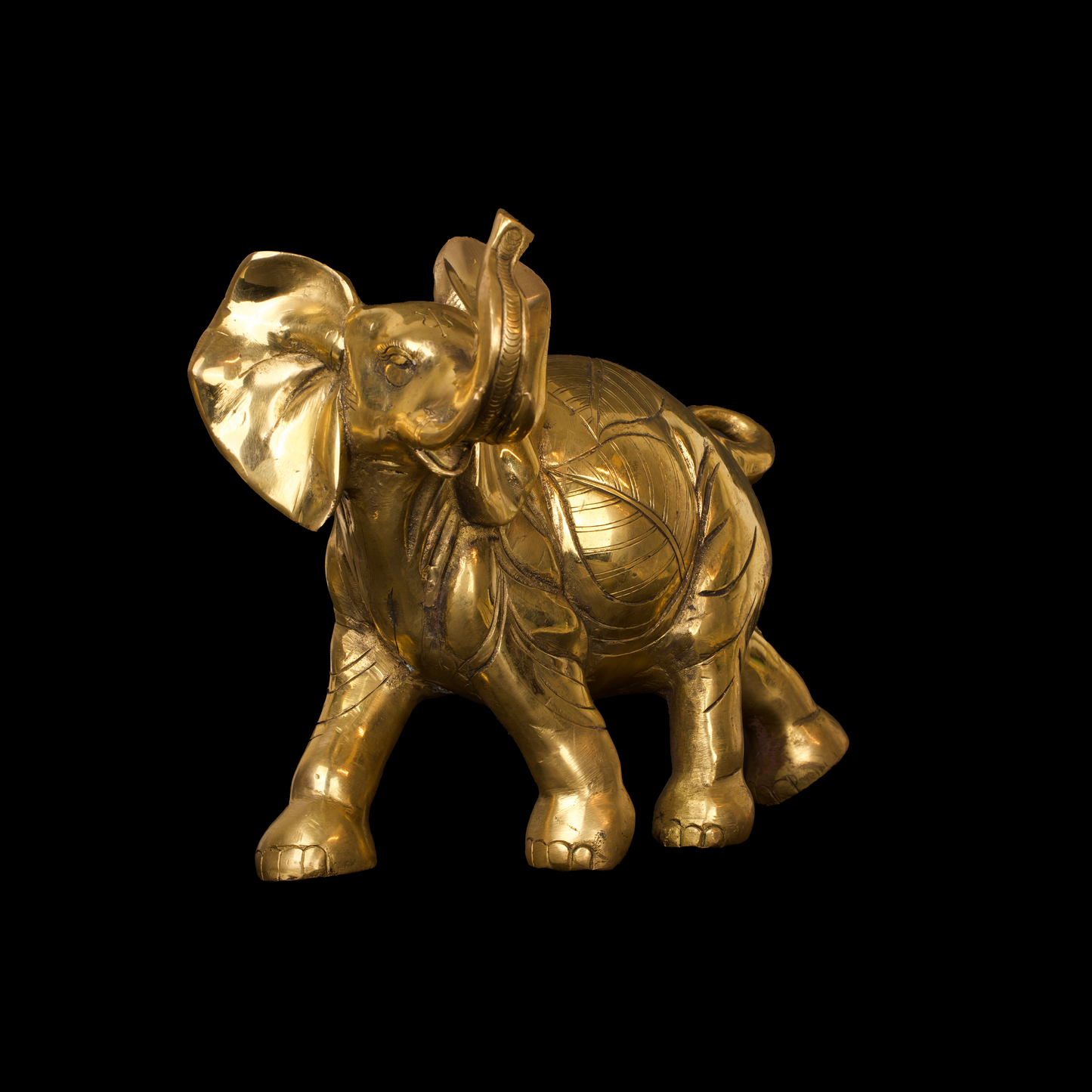 AFRICAN ELEPHANT 10''