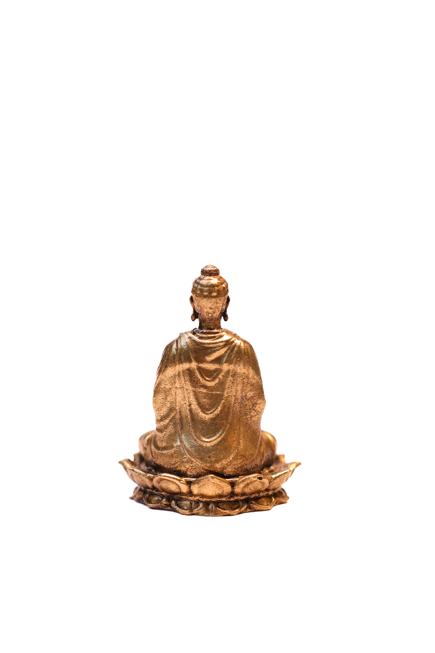 BUDHA 2.5"
