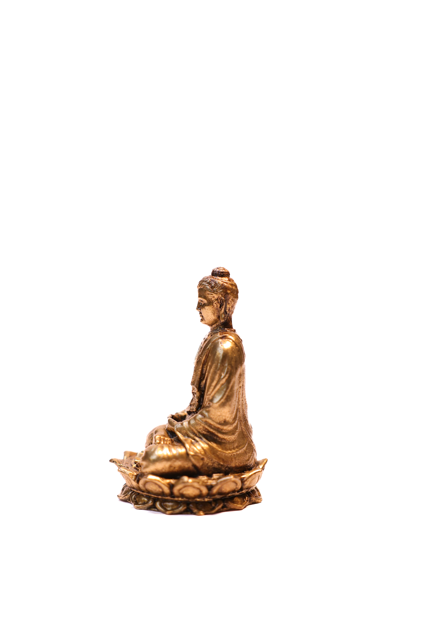 BUDHA 2.5"